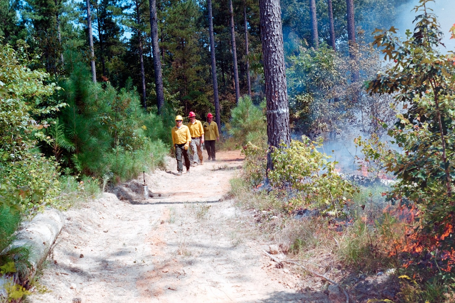 Veranstaltungen der Kreisjugendfeuerwehr: Highlights im Überblick